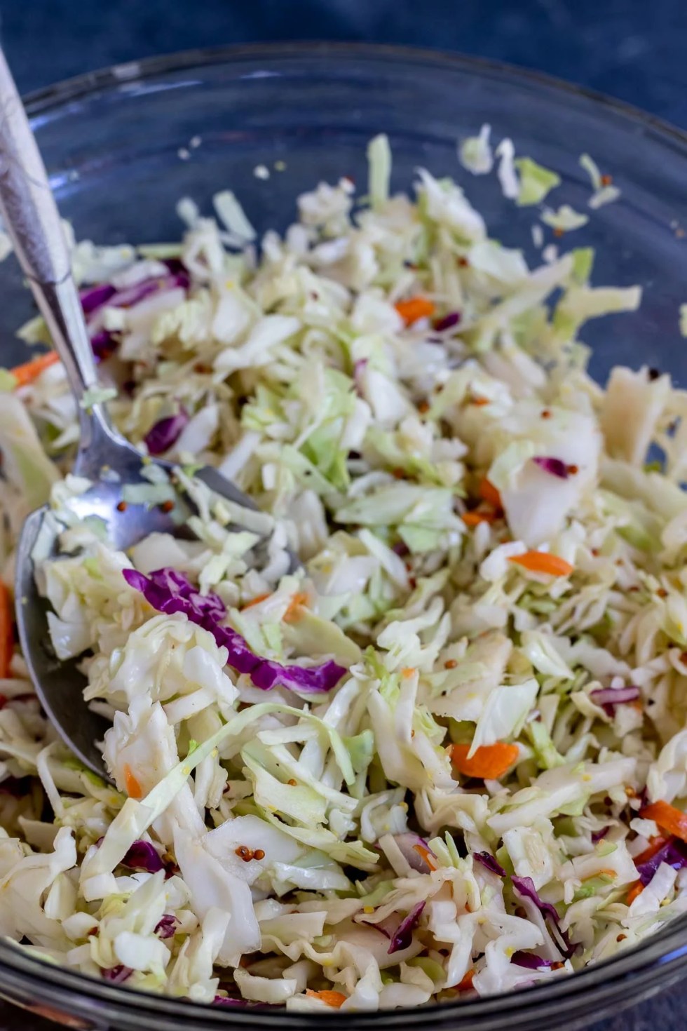 Vinegar Based Coleslaw Recipe Coleslaw Recipe Easy Homemade Coleslaw