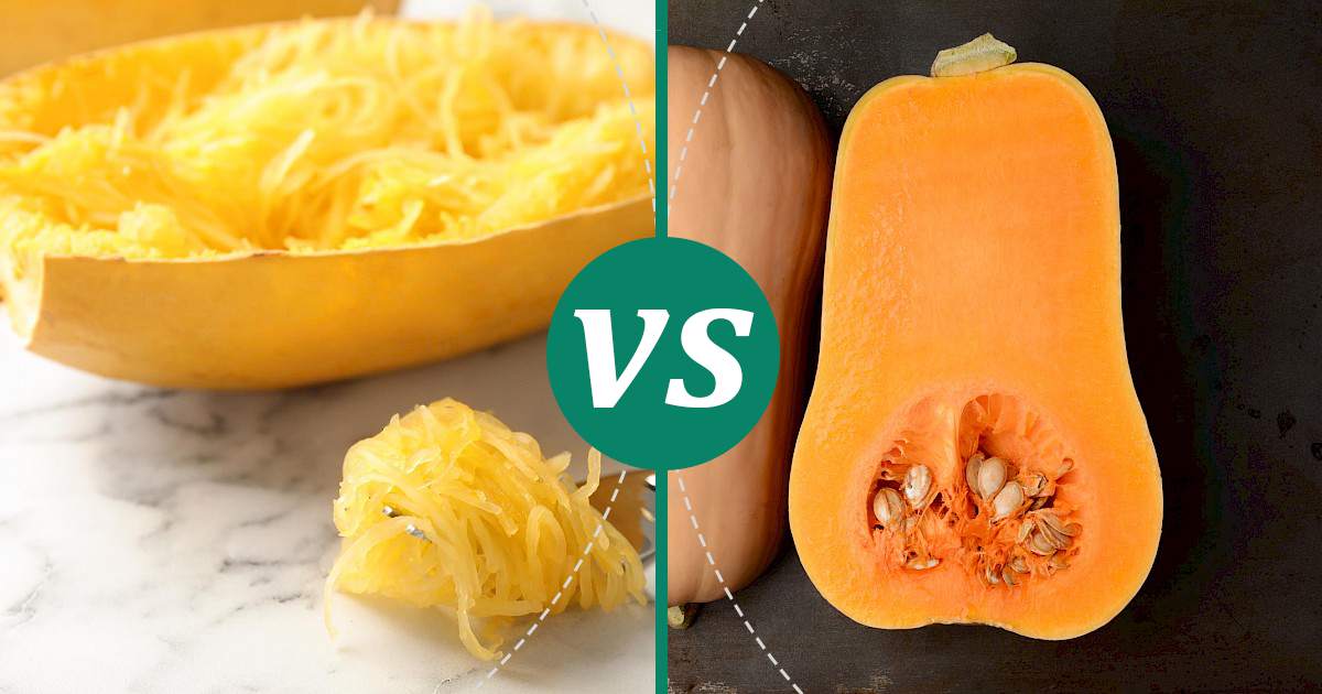 Vs Spaghetti Squash Snack