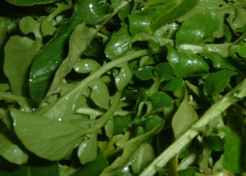 Watercress Raw 11 Calories Happy Forks