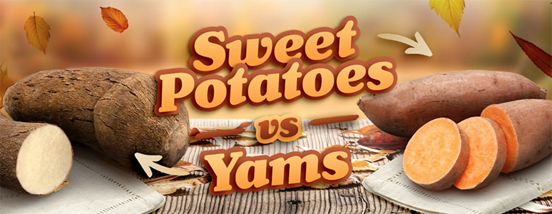 What Amp 39 S The Difference Between Yams And Sweet Potatoes Kitchn