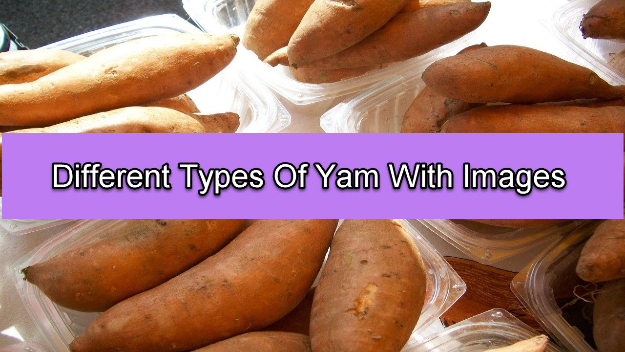 Yam Hash Easy And Delicious Asian Style Recipe