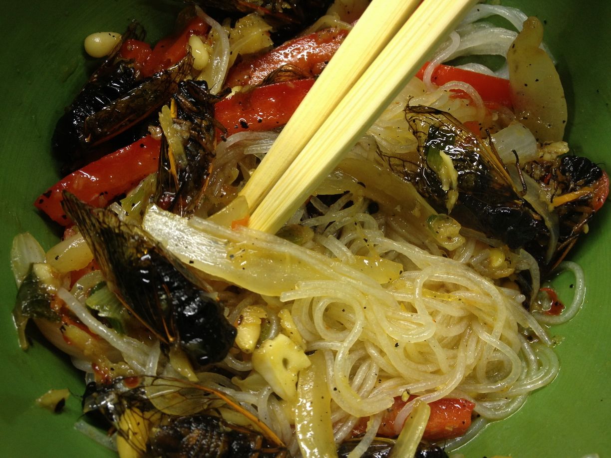 Yum Cicada Stir Fry Not For The Average Consumer